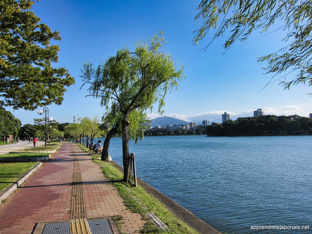 Promenade au bord de l’eau au parc Ōhori à Fukuoka