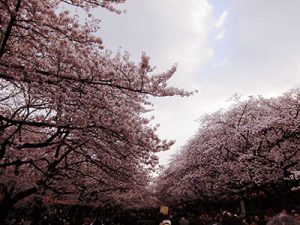 ueno-parc