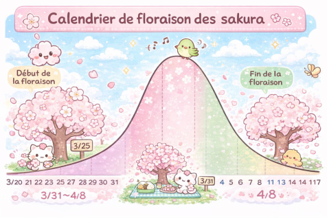 calendrier floraison des sakura