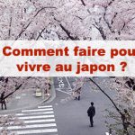 Article Comment faire pour vivre au Japon ?