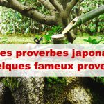 Article Proverbe japonais : quelques proverbes connus